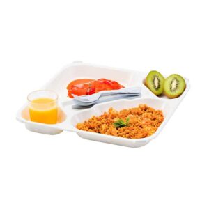 BANDEJA COPOLIÉSTER 5 COMPARTIMENTOS