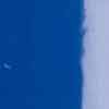 R-5000 Azul