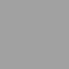 Gris-RAL-9006